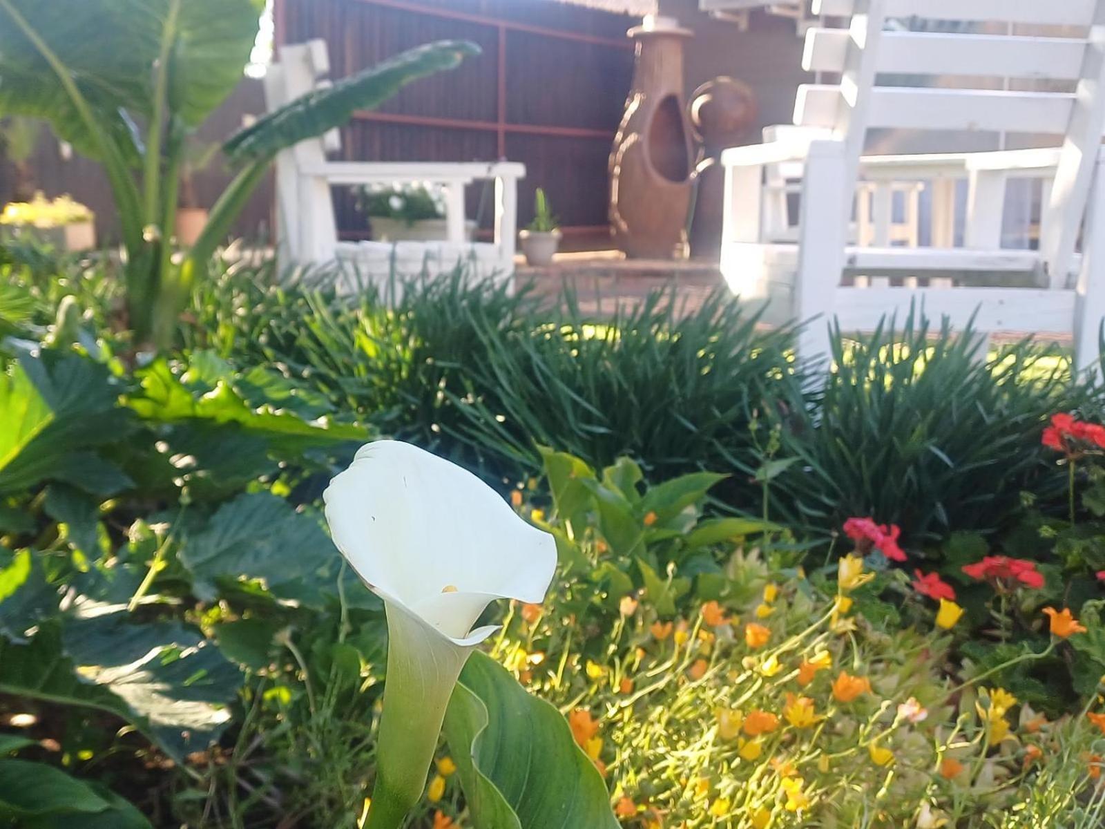 Ceelee'S Place Bloemfontein Exterior photo